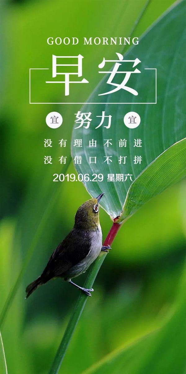 最新早安正能量走红语录句子 2019早安图片带字大全