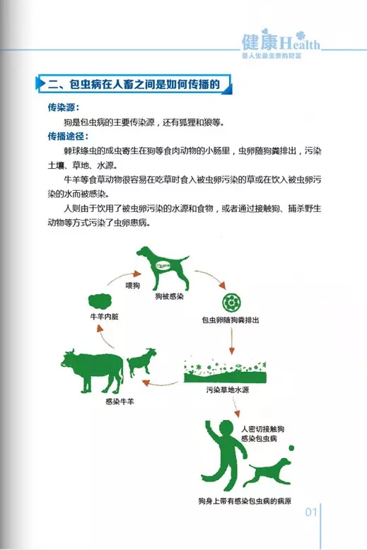 健康科普手册 | 布病,出血热,包虫病,结核病的健康教育