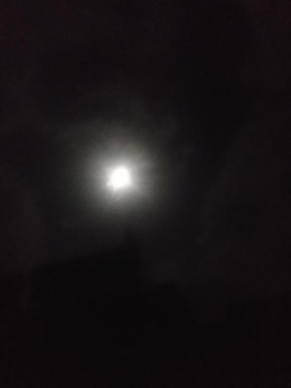 夜深人静,出来看看月亮
