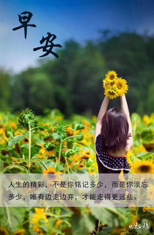 对着镜子微笑 做一朵向日葵 内心向阳 不忧伤,不心急 坚强,向上 靠近