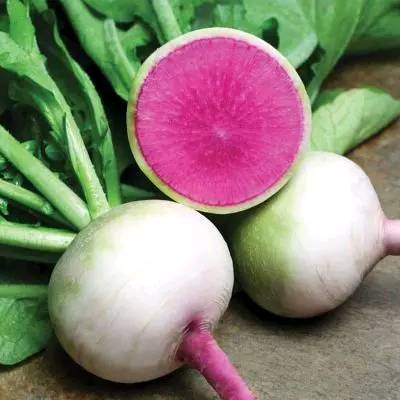 罗卜-阿斗名帖-区块链名帖,人人适用的区块链