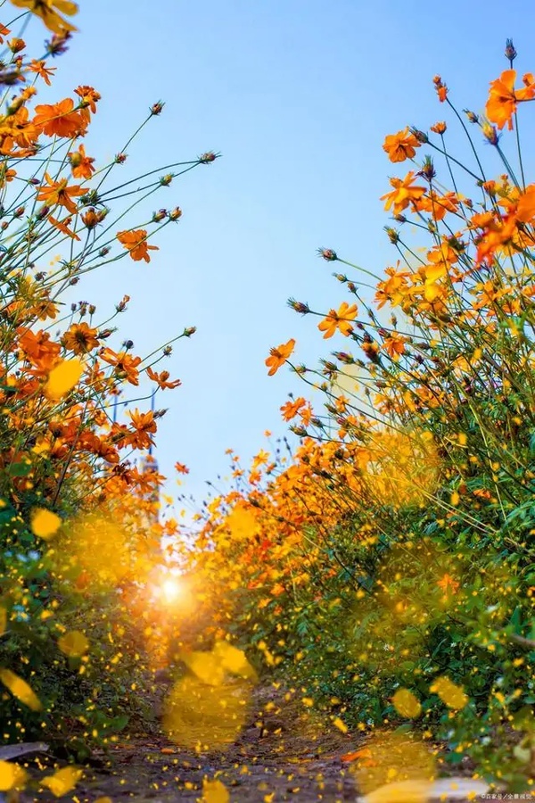 阳光正能量的励志句子催人奋进积极美好03301404