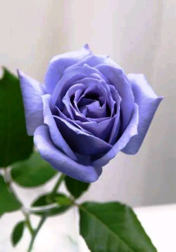 一开始,感激不尽.可是久了,便是习惯了