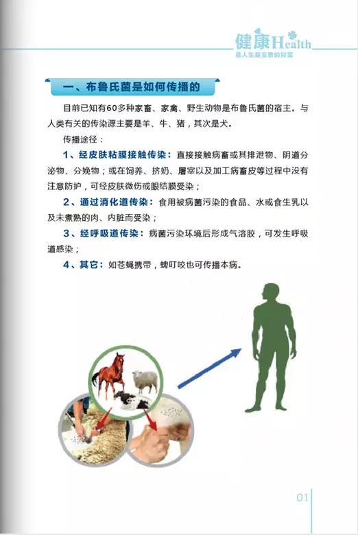 健康科普手冊布病出血熱包蟲病結核病的健康教育